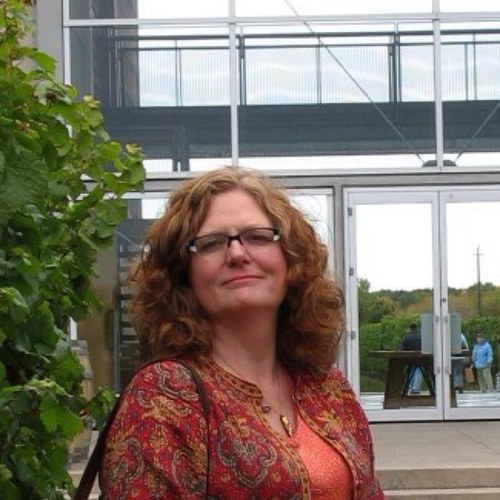 anneideas's profile picture. 