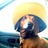 lstanz6's profile image