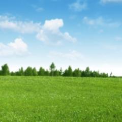 anaerobic_dig's profile picture. 