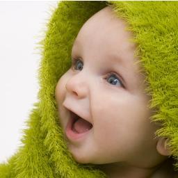 Toddle Profile