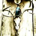 Seth Layton Coy - @Sety54 - Twitter