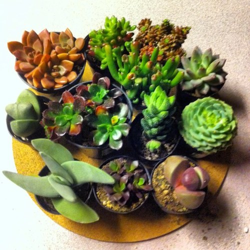 artmajor86's profile picture. 