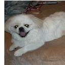 maria davlantis - @mcd9815 - Twitter