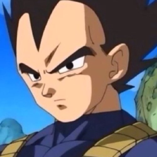 Vegeta, Prince of all Saiyans. My life is made up of Pride, Training and surpassing Kakarot. I have achieved Super Saiyan 3. Nothing will stand in my way.