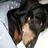 concha_costa's profile image