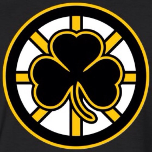 this is my bruins/hockey account, for non hockey related tweets follow my other account @queer_aviator