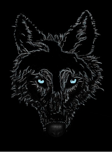 The founder wanted to have a way to protect the rights and music of new bands working the smaller stages and venues. Raven-Wolf Records was the answer...