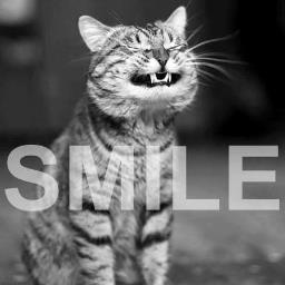 steezyyysteve's profile picture. Seems so easily but it never seems to last long, thinking that ya got a full minute then a minutes gone