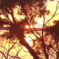 Warwick Cheatle (@wcheatle) 's Twitter Profile
