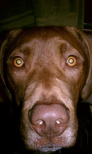 0nwse0's profile picture. 