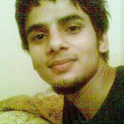 Web Developer