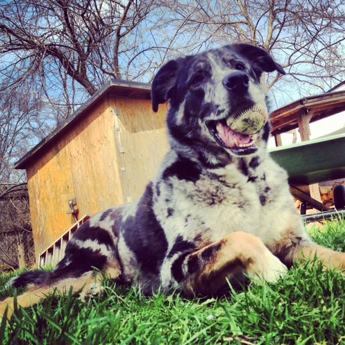 happyasahoula's profile picture. 