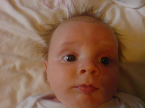 kirbyselves's profile picture. 