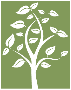 Landscape Construction and Maintenance Company Specializing in Green Solutions
