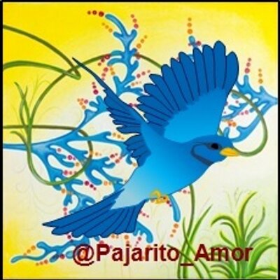 Pajarito Del Amor Pajarito Amor Twitter