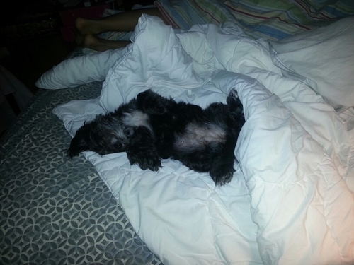 JD253's profile picture. 