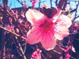 神是真理、道路、生命，哪裡有神的腳蹤哪裡就有神的作為，哪裡有神的發表哪裡就有神的顯現。