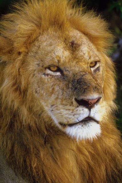 Smile_Pilar's profile picture. 