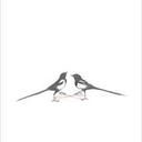 Tabitha Parks - @tuesdayforjoy - Twitter