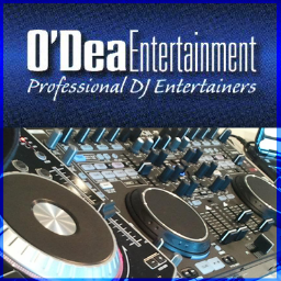 | Bar/Bat Mitzvahs | Weddings | Corporate Events | Social Parties | Professional DJ Entertainers in Chicago