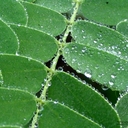 Jonathan Means - @JonathanMeans1 - Twitter