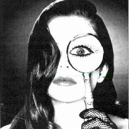 Clemson Spy... I see everything, and I'm pretty damn sassy.