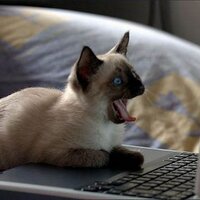 DanyV (@vampirchen13) 's Twitter Profile