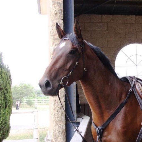 EvenTain's profile picture. 