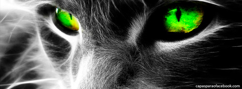 irenegatinhaa's profile picture. 