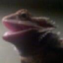 william wilbert - @bitchassniggass - Twitter