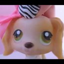 Genevieve - @GenevieveRyan59 - Twitter