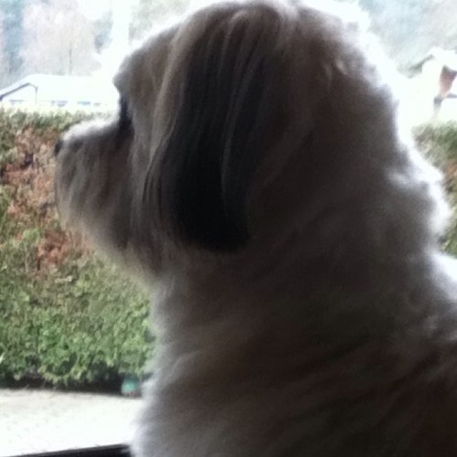 Evitessa123Y's profile picture. Volg mij das cool