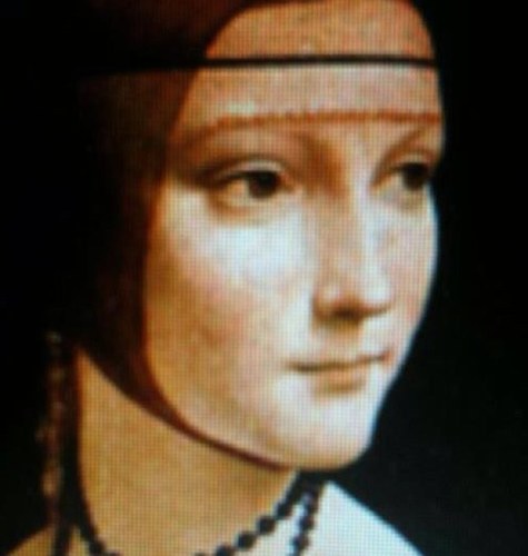 Laura_Shield's profile picture. @shieldsandwell