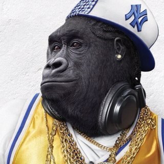 Qu'on se le dise : j'ai une profonde aversion pour les cultures ethniques, le rap, le raï et les bandes de jeunes - au sens médiatique du terme - #Patriote