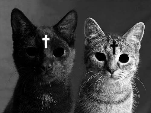 lickinpud's profile picture. no thanks.