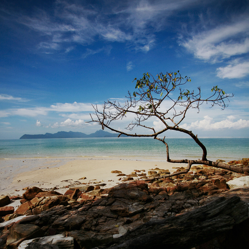 viguesess's profile picture. Uno mas de la gran ciudad de VIGO