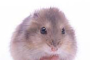 よろしくお願いします(^▽^)/