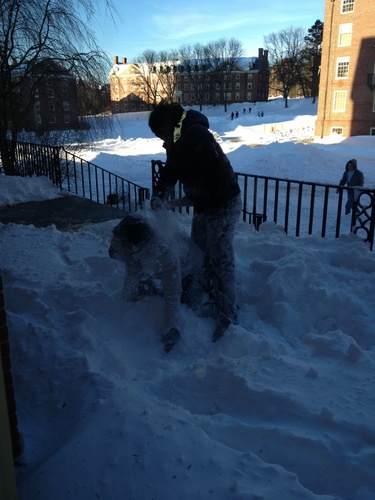 Parthparikh17's profile picture. 