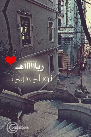 Taibah University,,,,Chemistry Student