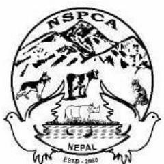 Totally dedicated to help wandering animals of Nepal