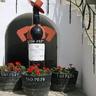 Pepparello's profile picture. El vino vino, pero el vino no vino vino. El vino vino
vinagre. - 
For fine fresh fish, phone Phoebe.