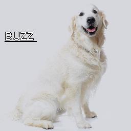 STONIMARIS's profile picture. 