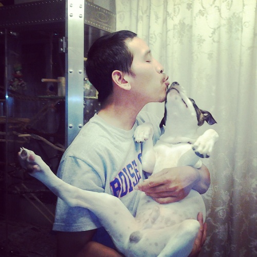 209zombieKilla's profile picture. STK ALL-DAY!