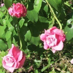 GlosTV's profile picture. 