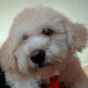 ruth petit - @petit42 - Twitter