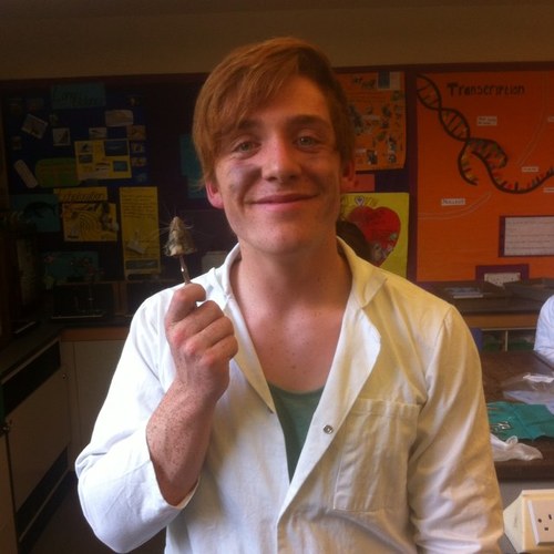 gingershimmin's profile picture. I'm a little teapot, short and stout