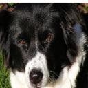 Deb Stone - @corribee2 - Twitter