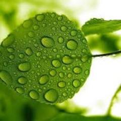 There is only one success – to be able to spend your life in your own way.-Christopher Morley