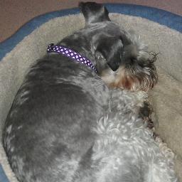 bigrup2011's profile picture. 