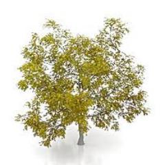 CarolyElliott's profile picture. The power of imagination makes us infinite.-John Muir